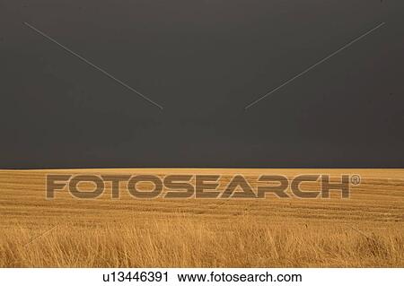 scenic, field, background, clouds, rain, stubble View Large Photo Image Stock Image - scenic, field, background, clouds, rain, stubble. Fotosearch
