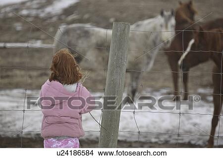 Picture - scenic, girl, horses, feed, trying, young. Fotosearch
