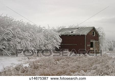 Stock Photo - scenic, granary, trees, frostcovered, hoar, old. Fotosearch