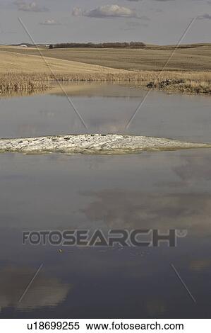 Stock Photography - scenic, patch, pothole, prairie, ice, one. Fotosearch