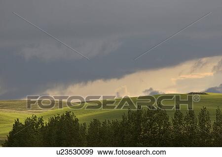 Stock Photo - scenic, rolling, jaw, moose, hills, lovely. Fotosearch