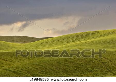scenic, rolling, jaw, moose, hills, lovely View Large Photo Image Stock Photography - scenic, rolling, jaw, moose, hills, lovely. Fotosearch