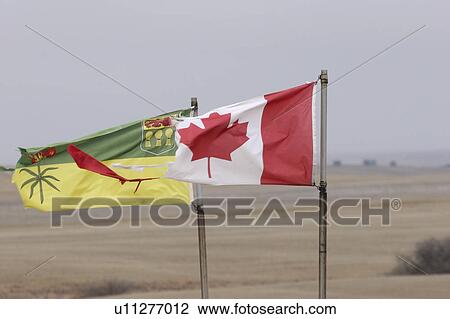 Stock Image - scenic, saskatchewan, wind, blowing, flags, canadian. Fotosearch