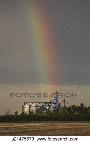 scenic, touching, silos, seed, down, rainbow View Large Photo Image Stock Photo - scenic, touching, silos, seed, down, rainbow. Fotosearch