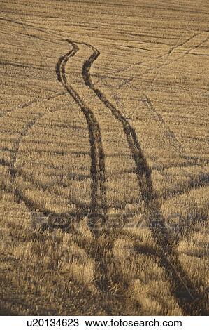 Stock Image - scenic, tracks, field, stubble, through, tire. Fotosearch