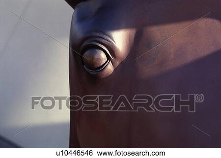 Stock Photograph - sculpture, horse, pattern, statue, head, graphic. Fotosearch