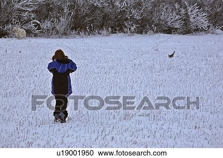 sharptailed, girl, photograph, closeup, getting, young View Large Photo Image Stock Image - sharptailed, girl, photograph, closeup, getting, young. Fotosearch