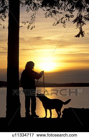 silhouetted, released, outdoors, silhouette, wa, model View Large Photo Image Stock Photo - silhouetted, released, outdoors, silhouette, wa, model. Fotosearch