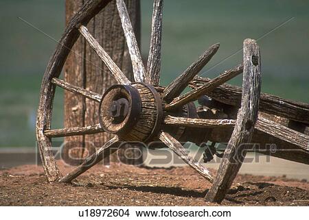 south, wagon, deadwood, seen, wheel, old View Large Photo Image Picture - south, wagon, deadwood, seen, wheel, old. Fotosearch