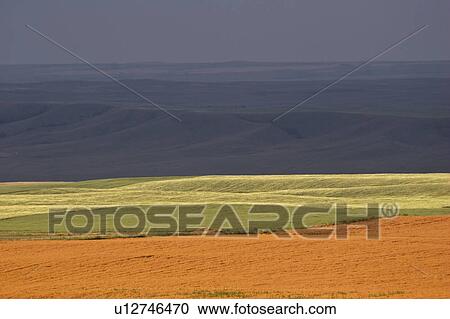 southern, fields, scenic, background, storm, sunlit View Large Photo Image Stock Image - southern, fields, scenic, background, storm, sunlit. Fotosearch