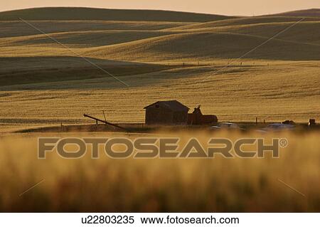 Stock Photography - southern, hills, scenic, jaw, moose, rolling. Fotosearch