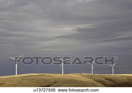 Stock Photograph - southwest, grazing, generators, electricity, windmill, cattle. Fotosearch