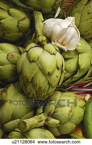 spain, vegetable, barcelona, vilanova, compostions, fruit View Large Photo Image Picture - spain, vegetable, barcelona, vilanova, compostions, fruit. Fotosearch