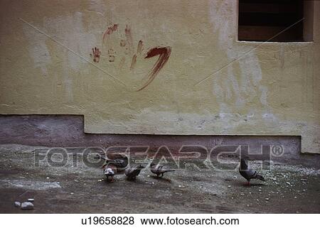 Stock Photo - stained, spain, blood, background, wall, pigeons. Fotosearch