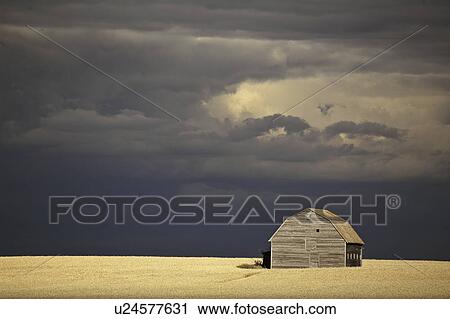 Stock Image - storm, old, field, wheat, barn, sunlit. Fotosearch