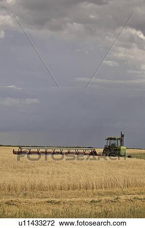 storm, tractor, field, wheat, swather, idle View Large Photo Image Stock Image - storm, tractor, field, wheat, swather, idle. Fotosearch