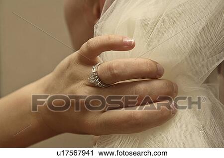 taken, saskatchewan, jaw, moose, wedding View Large Photo Image Stock Image - taken, saskatchewan, jaw, moose, wedding. Fotosearch