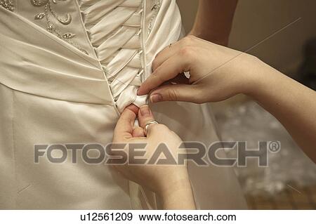 Stock Photo - taken, saskatchewan, jaw, moose, wedding. Fotosearch