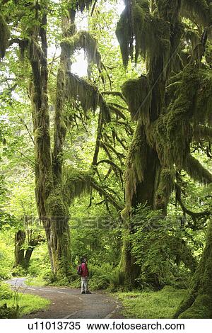 Stock Photography - trail, released, hiking, female, woman, model. Fotosearch