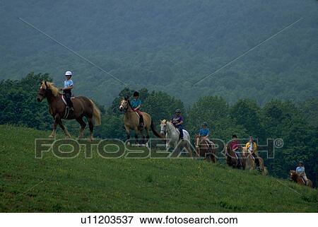 trail, young, riding, horseback, people, group View Large Photo Image Stock Photo - trail, young, riding, horseback, people, group. Fotosearch