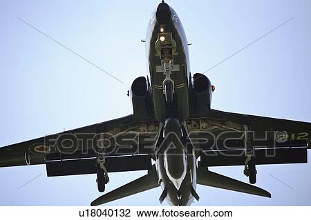 training, land, coming, jet, hawk View Large Photo Image Stock Image - training, land, coming, jet, hawk. Fotosearch