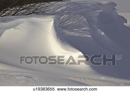 Stock Photography - trees, snow, windrow, behind, banks, large. Fotosearch