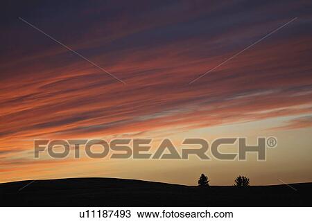 two, clouds, hills, cypress, twilight, colorful View Large Photo Image Stock Image - two, clouds, hills, cypress, twilight, colorful. Fotosearch