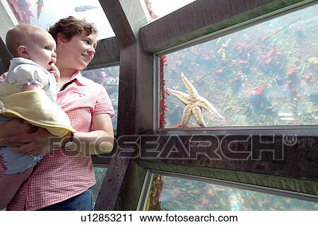 underwater, released, daughter, baby, mother, model View Large Photo Image Stock Image - underwater, released, daughter, baby, mother, model. Fotosearch