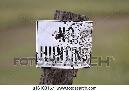 up, scenic, sign, hunting, shot View Large Photo Image Stock Photo - up, scenic, sign, hunting, shot. Fotosearch