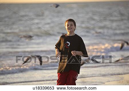 usa, chasing, florida, scenic, gulls, boy View Large Photo Image Stock Image - usa, chasing, florida, scenic, gulls, boy. Fotosearch