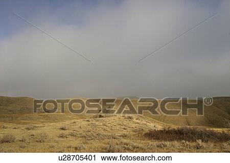 valley, morning, muddy, big, fog, dissipating View Large Photo Image Stock Image - valley, morning, muddy, big, fog, dissipating. Fotosearch