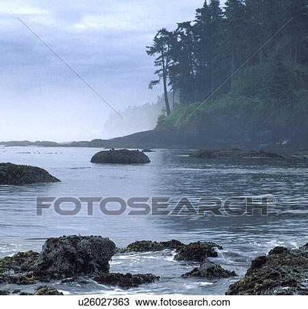 Stock Image - washington, forest, recreation, strait, water, clallam. Fotosearch