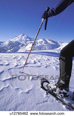 washington, hiking, pole, cascades, snow, mountain View Large Photo Image Stock Image - washington, hiking, pole, cascades, snow, mountain. Fotosearch