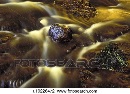 Stock Image - water, stream, st36, pa, bushkill, forest. Fotosearch
