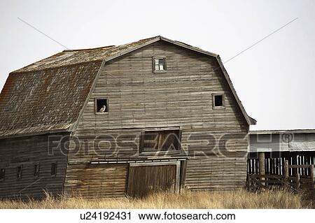 weathered, saskatchewan, rural, barn, old View Large Photo Image Stock Image - weathered, saskatchewan, rural, barn, old. Fotosearch