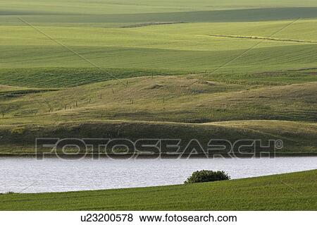 western, landscape, saskatchewan, southern, scenic, lovely View Large Photo Image Stock Photo - western, landscape, saskatchewan, southern, scenic, lovely. Fotosearch