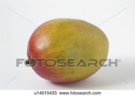 white, fruit, asian, background, mango View Large Photo Image Stock Image - white, fruit, asian, background, mango. Fotosearch