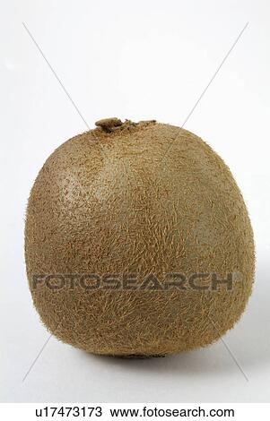 white, vitamin, fruit, background, kiwi View Large Photo Image Stock Image - white, vitamin, fruit, background, kiwi. Fotosearch