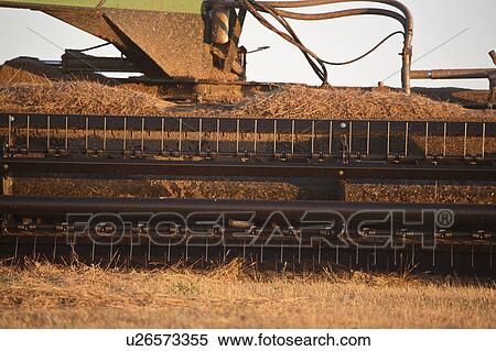 Stock Photography - work, prairie, saskatchewan, scenic, swather. Fotosearch