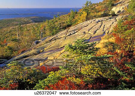 acadia, maine, ocean, atlantic, alpine, scenic View Large Photo Image Stock Photo - acadia, maine, ocean, atlantic, alpine, scenic. Fotosearch