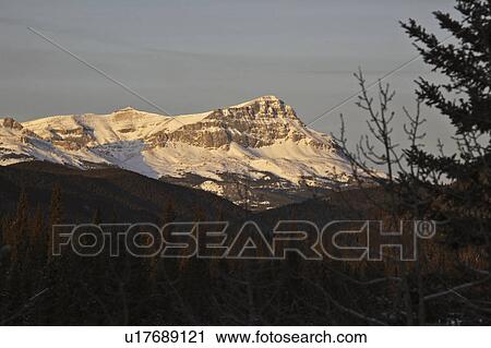 alberta, mountains, covered, snow, winter, rocky View Large Photo Image Stock Image - alberta, mountains, covered, snow, winter, rocky. Fotosearch