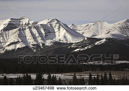 alberta, mountains, covered, snow, winter, rocky View Large Photo Image Stock Photo - alberta, mountains, covered, snow, winter, rocky. Fotosearch