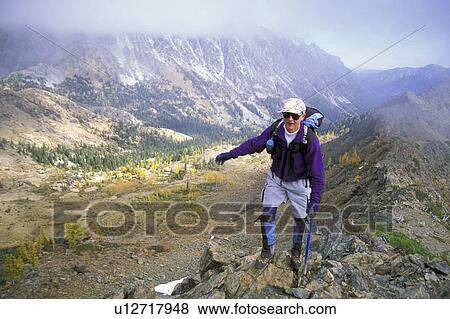 alpine, released, washington, forest, climbing, model View Large Photo Image Stock Photo - alpine, released, washington, forest, climbing, model. Fotosearch
