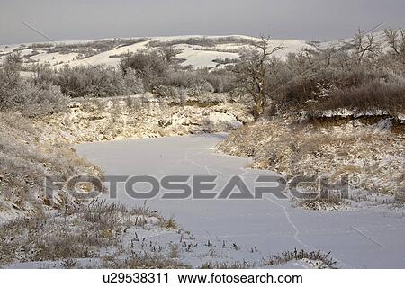 Stock Image - appelle, tracks, qu, frozen, snow, animal. Fotosearch