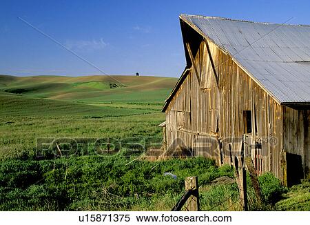 Stock Photography - area, rolling, palouse, fields, wheat, barn. Fotosearch