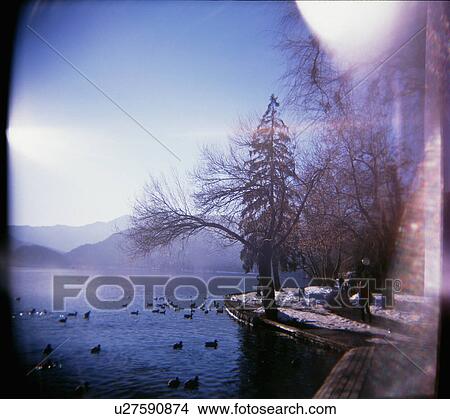 Picture - artistic, slovenia, acheives, camera, holga, ljublijana. Fotosearch