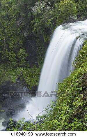 Stock Image - australia, rain, northern, beautiful, forrest, waterfall. Fotosearch