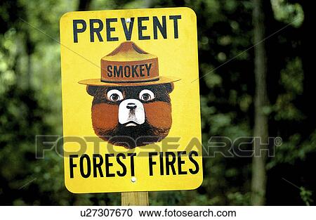 Stock Image - bear, forest, smokey, sign, fires, prevent. Fotosearch