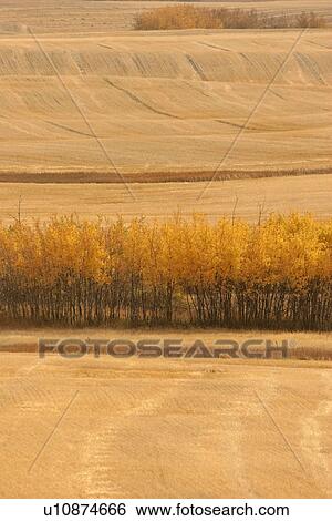 Stock Photograph - big, scenic, valley, muddy, autumn. Fotosearch