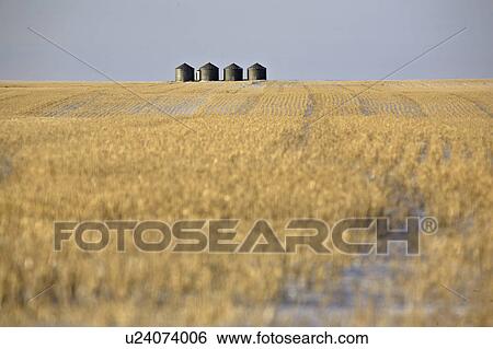 Stock Photograph - bins, covered, grain, field, stubble, snow. Fotosearch